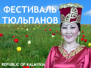 Фестиваль Тюльпанов в Калмыкии